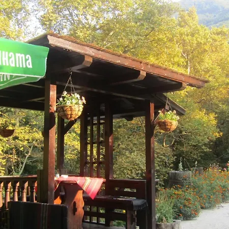 стаи за гости династия *